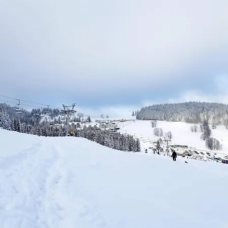 Czarna Gora Sunny Terrace شقة